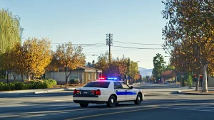 Pedestrian Struck by Vehicle in Lincoln Village