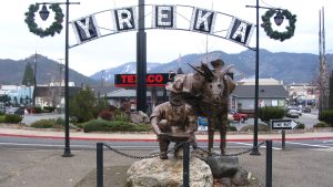 Yreka Multi Car Accident