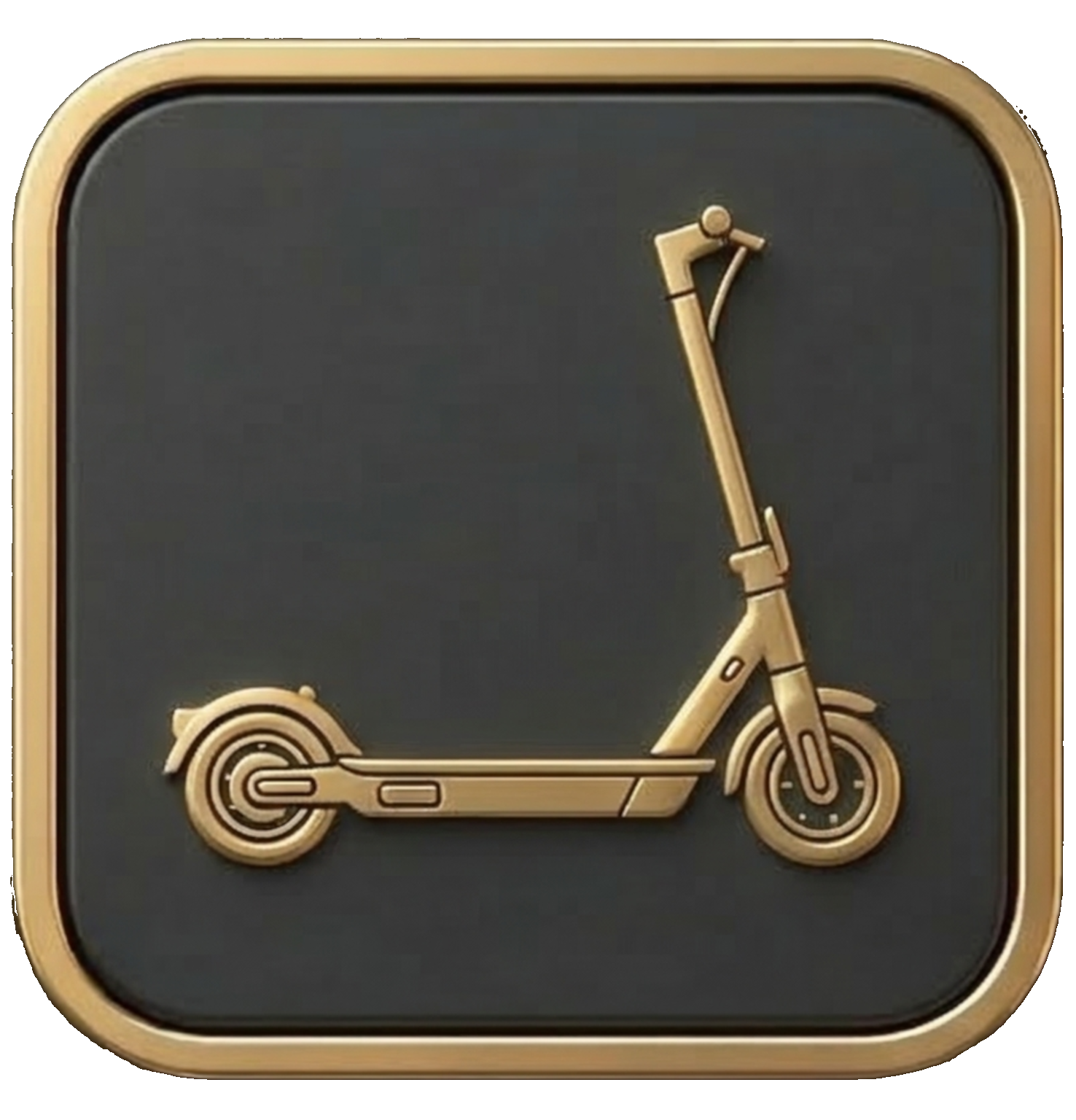 Bird scooter accident