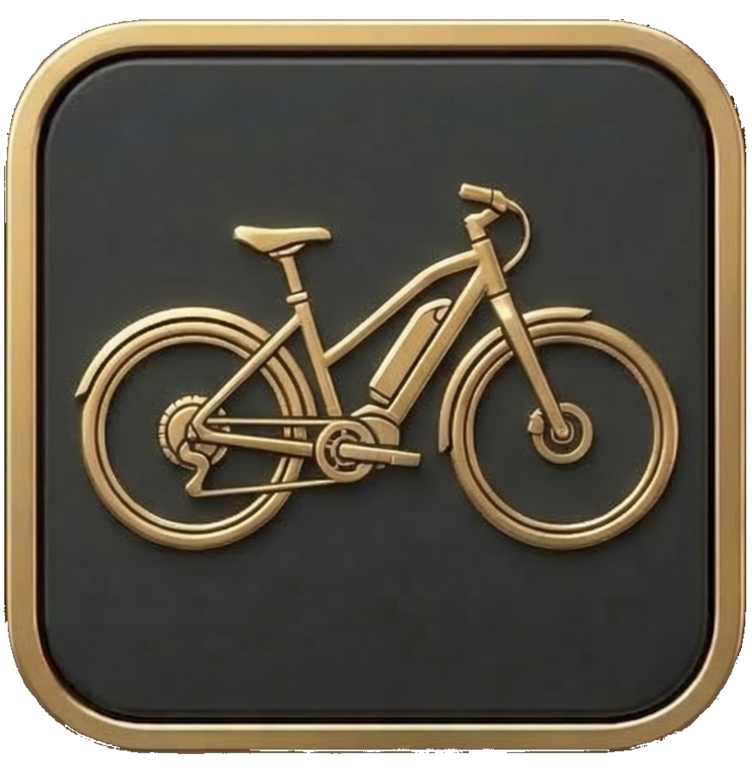 Lyft e-bike accident